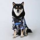 Dog Clothes Raincoat Dogs -