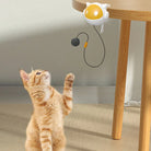 Interactive Cat Ball Electric Lifting Toy -
