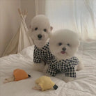 Keep your pets looking fashionable with this cute and elegant pet clothing—perfect for pet parties and special occasions, ensuring your furry friends are dressed to impress! -