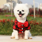 Dress your pet in a stylish plaid and striped shirt—perfect for adding a touch of sophistication to your furry friend's wardrobe! -