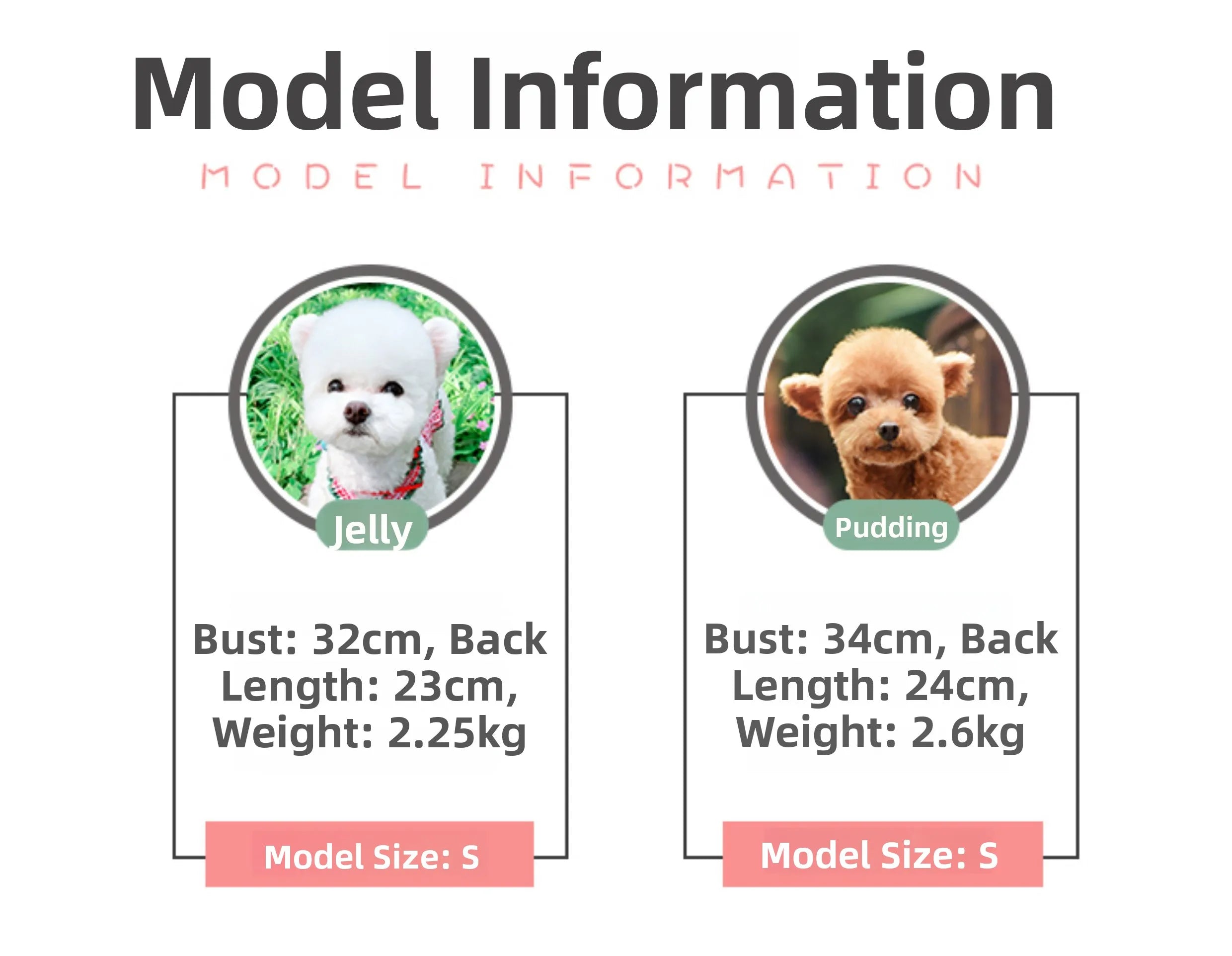Keep your dogs comfortable at home with these cozy pet clothes—ideal for lounging and relaxing in style! -