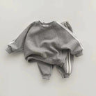 Keep your little one stylish and comfy with this cool two-piece baby suit—featuring a letter-printed zip-up top and matching leisure sports pants! -