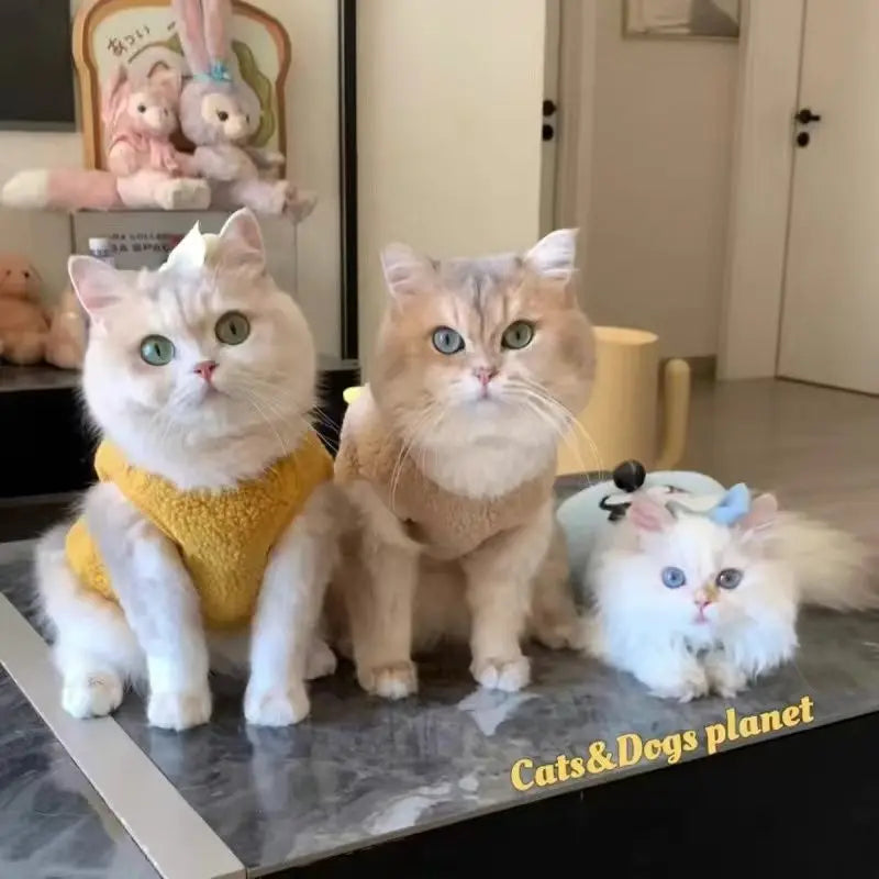 Keep your small and medium-sized dogs, as well as cats, stylish in these adorable pet clothes—perfect for adding flair to your furry friends' wardrobes! -