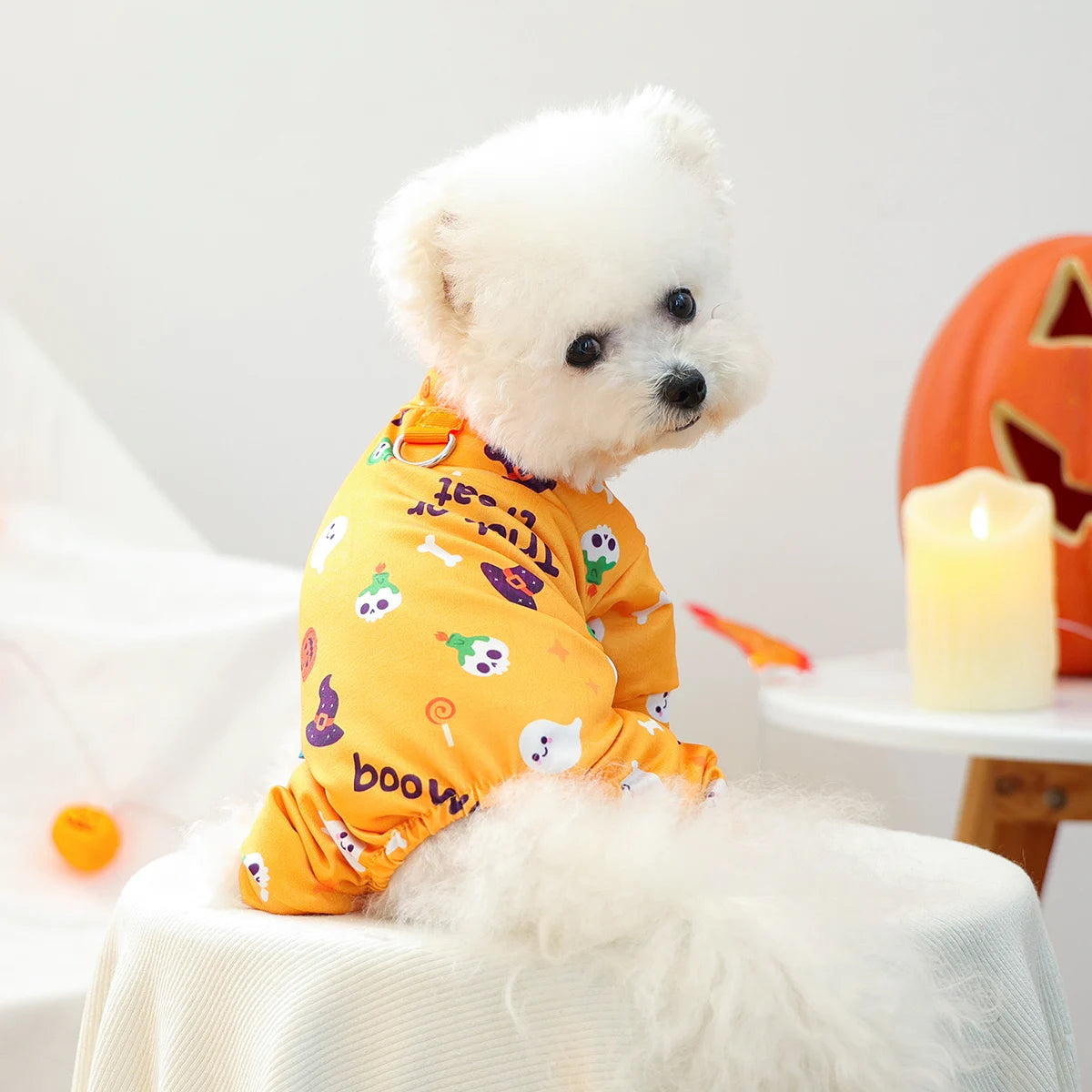 Dress your furry friend in style with these handsome, cute, and beautiful dog costumes for puppies—perfect for adding a touch of charm to their wardrobe! -
