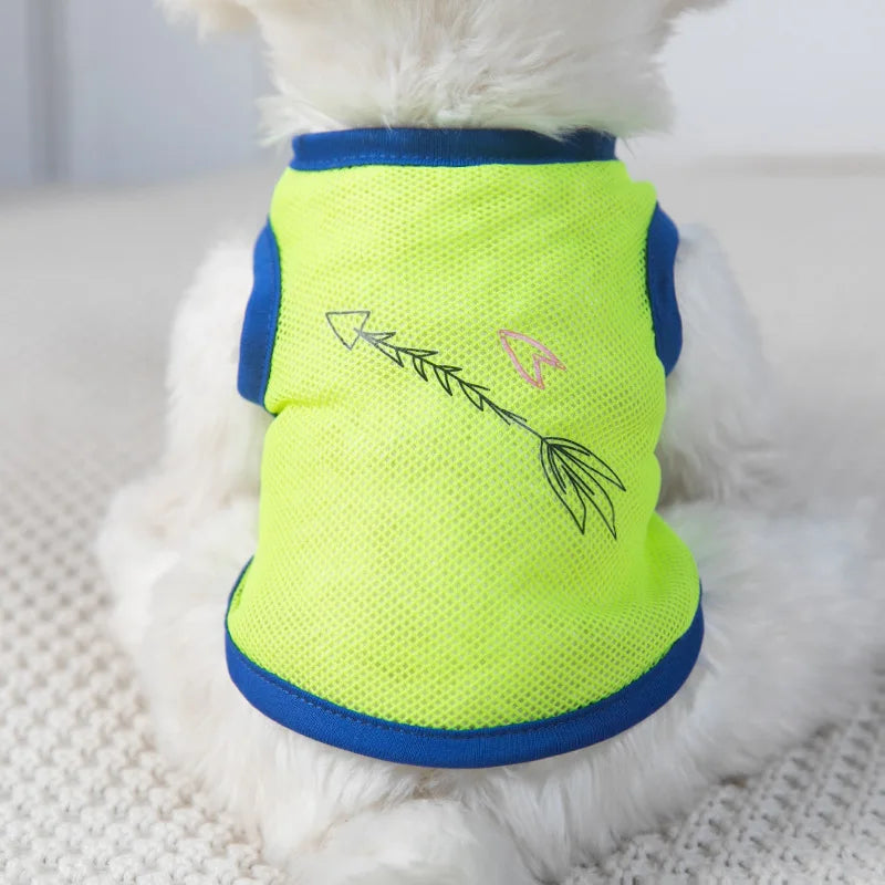 Keep your pets stylish and cozy with these fashionable cat and dog clothes—perfect for adding a touch of flair to their wardrobe! -