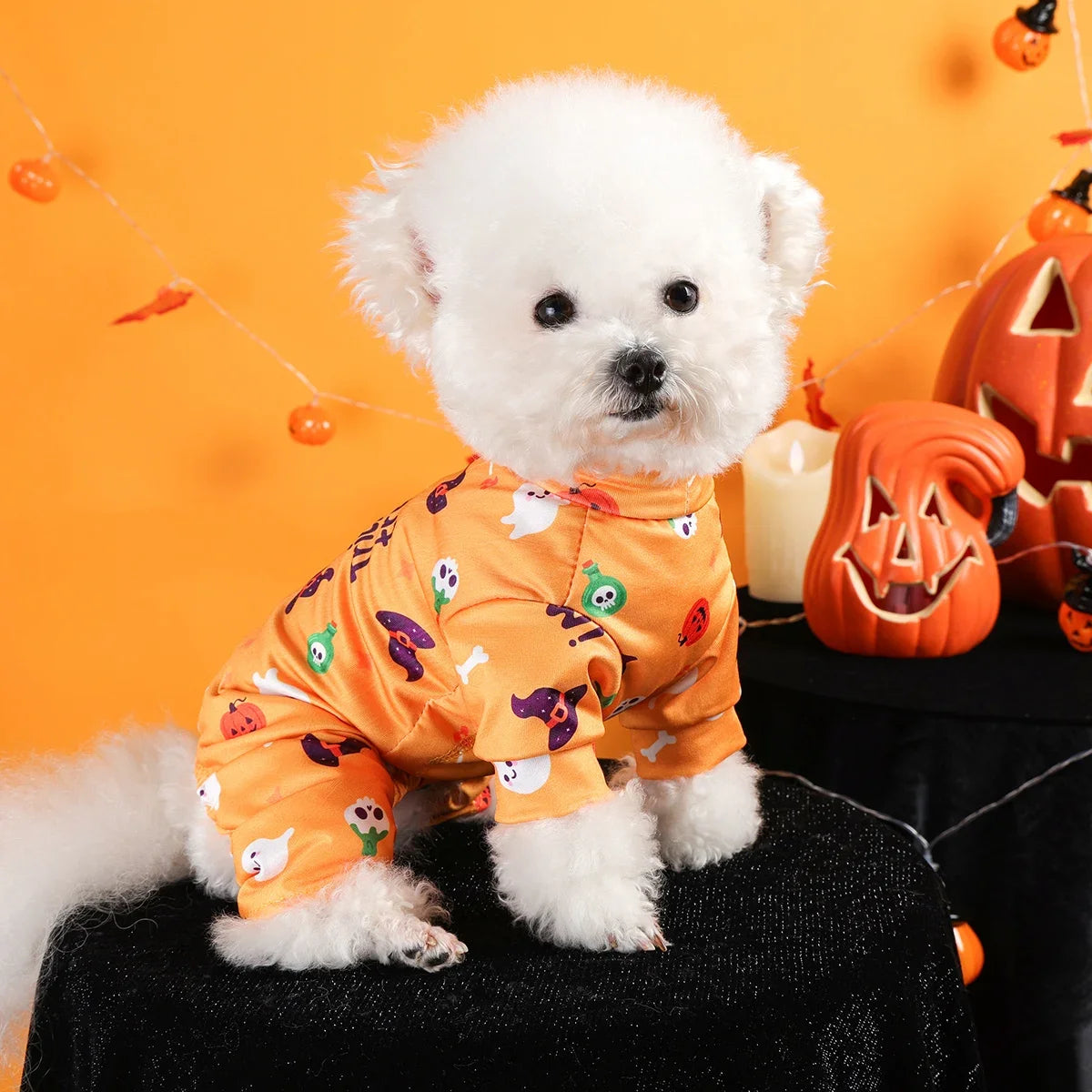 Dress your furry friend in style with these handsome, cute, and beautiful dog costumes for puppies—perfect for adding a touch of charm to their wardrobe! -