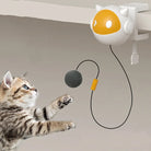 Interactive Cat Ball Electric Lifting Toy -