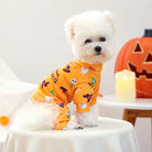 Dress your furry friend in style with these handsome, cute, and beautiful dog costumes for puppies—perfect for adding a touch of charm to their wardrobe! -