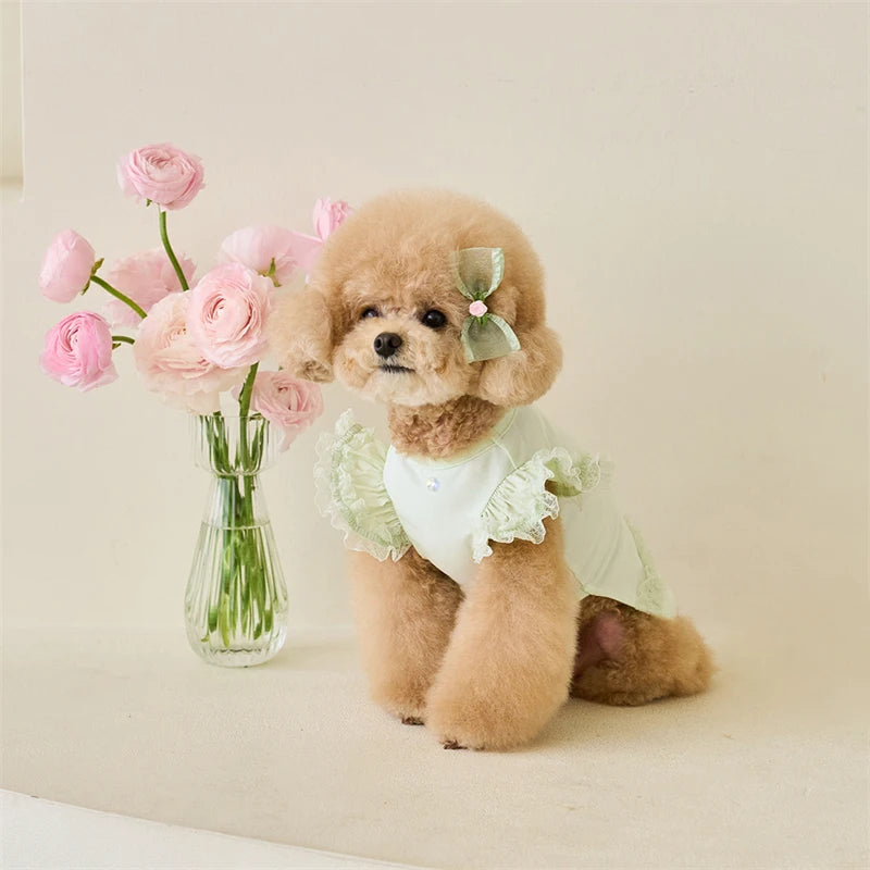 Dress up your furry friend in adorable style with this green lace ruffle shirt dress—perfect for small dogs and kittens to look cute and stylish during the summer season! -