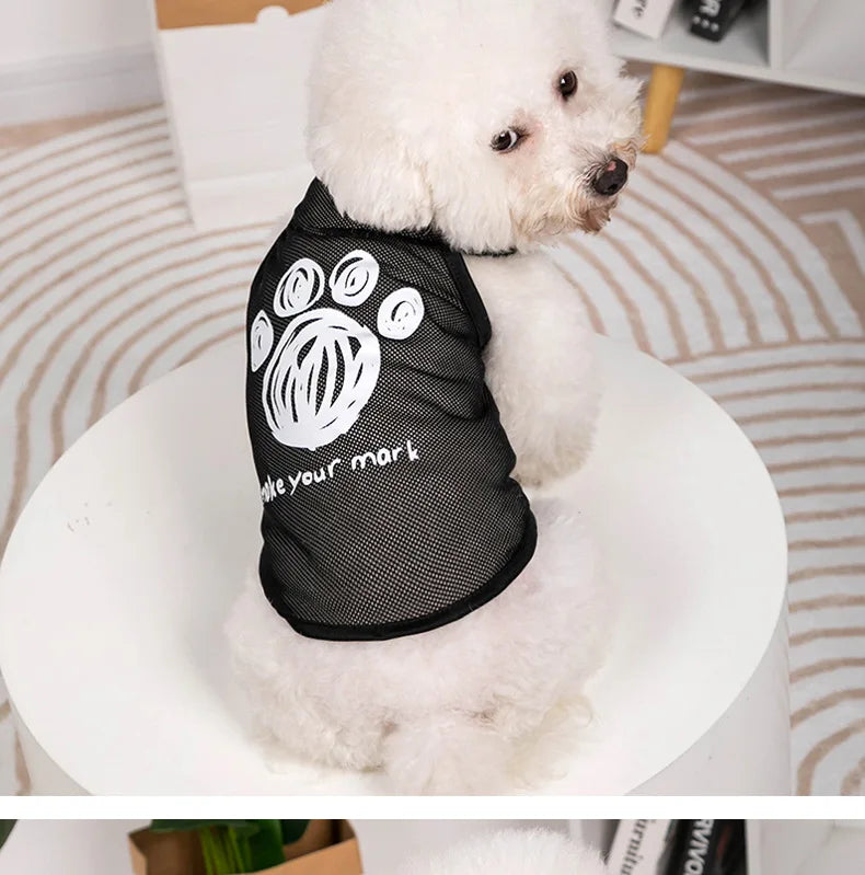 Keep your pets stylish and cozy with these fashionable cat and dog clothes—perfect for adding a touch of flair to their wardrobe! -