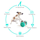 Interactive training toy for cats and dogs -