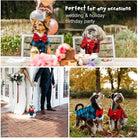 Dress your pet in a stylish plaid and striped shirt—perfect for adding a touch of sophistication to your furry friend's wardrobe! -