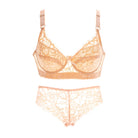 Lace Panty and Briefs -