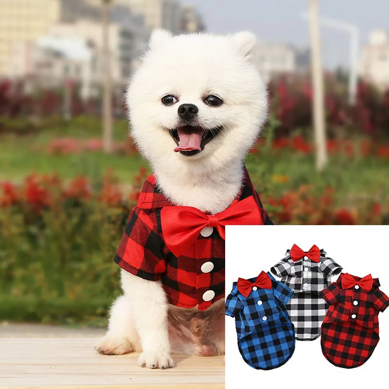 Dress your pet in a stylish plaid and striped shirt—perfect for adding a touch of sophistication to your furry friend's wardrobe! -