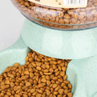 Large Capacity Pet Feeder Bowls -