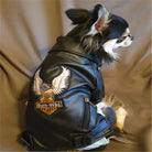 Glorious Eagle Pattern Dog Coat Jacket Soft Waterproof -