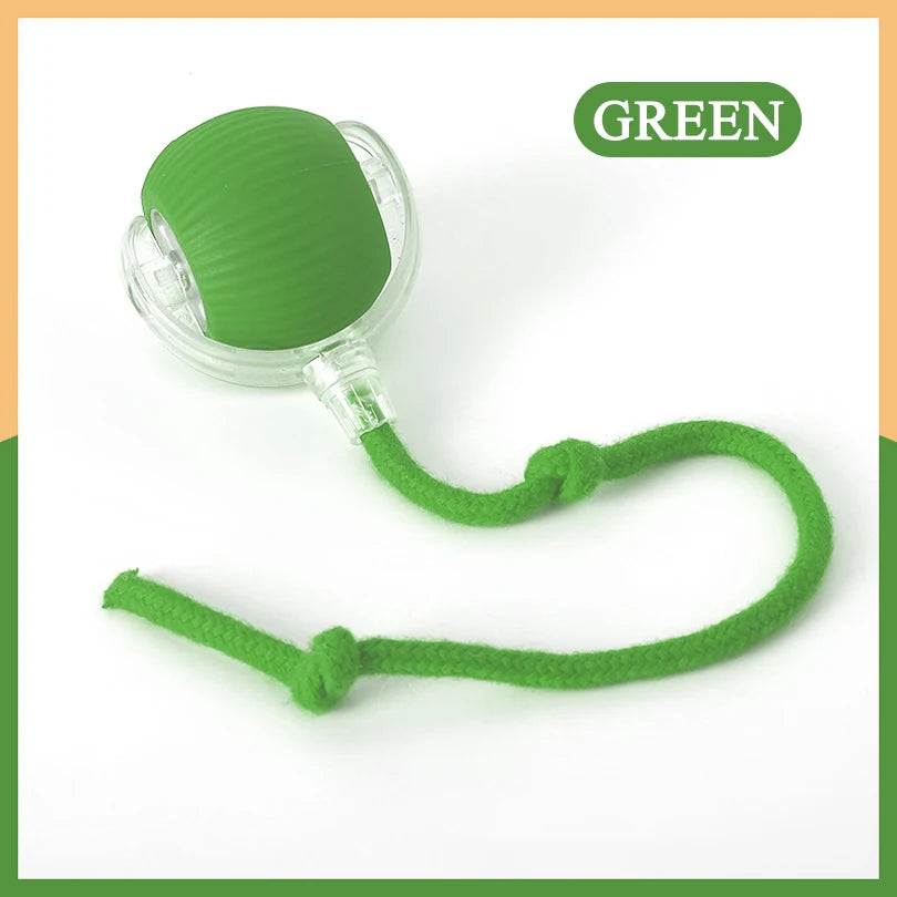 Motion Activated Interactive Cat Toy for Indoor -
