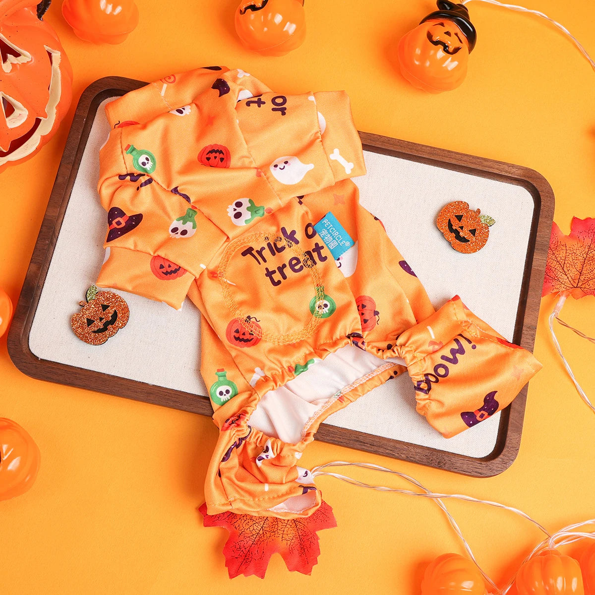 Dress your furry friend in style with these handsome, cute, and beautiful dog costumes for puppies—perfect for adding a touch of charm to their wardrobe! -