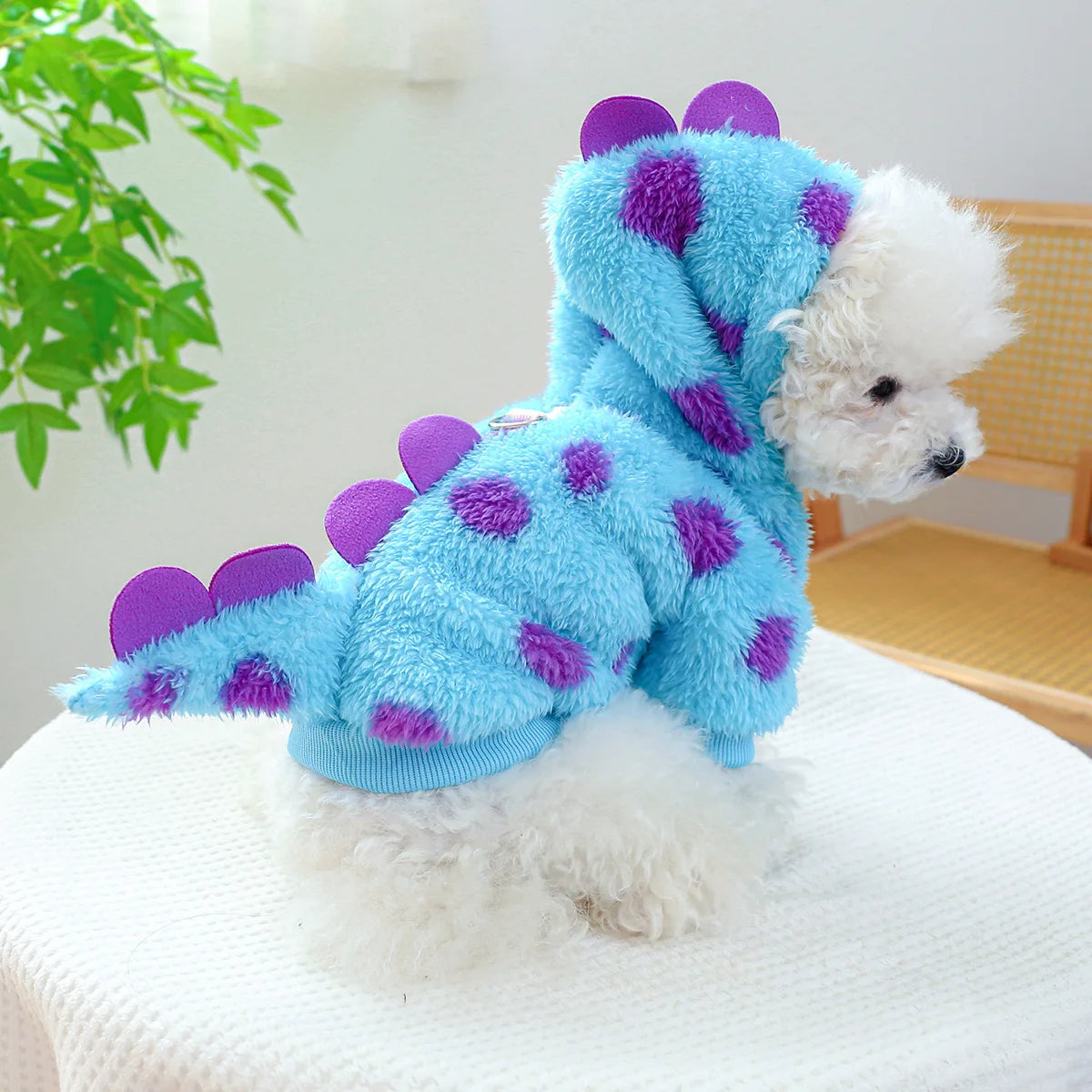 Dress your pet in adorable dinosaur-themed clothes to keep them warm and cozy. -