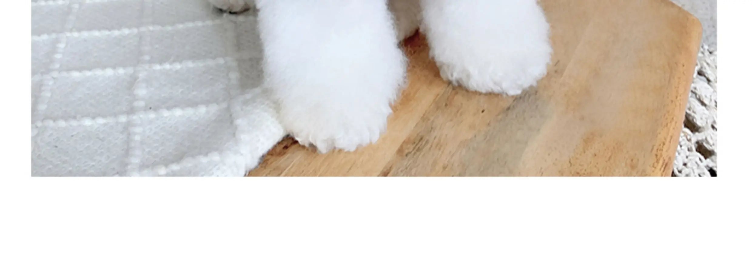Keep your dogs comfortable at home with these cozy pet clothes—ideal for lounging and relaxing in style! -