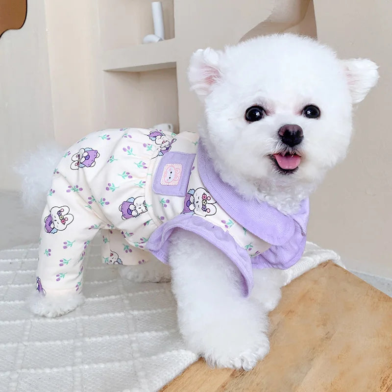 Keep your dogs comfortable at home with these cozy pet clothes—ideal for lounging and relaxing in style! -