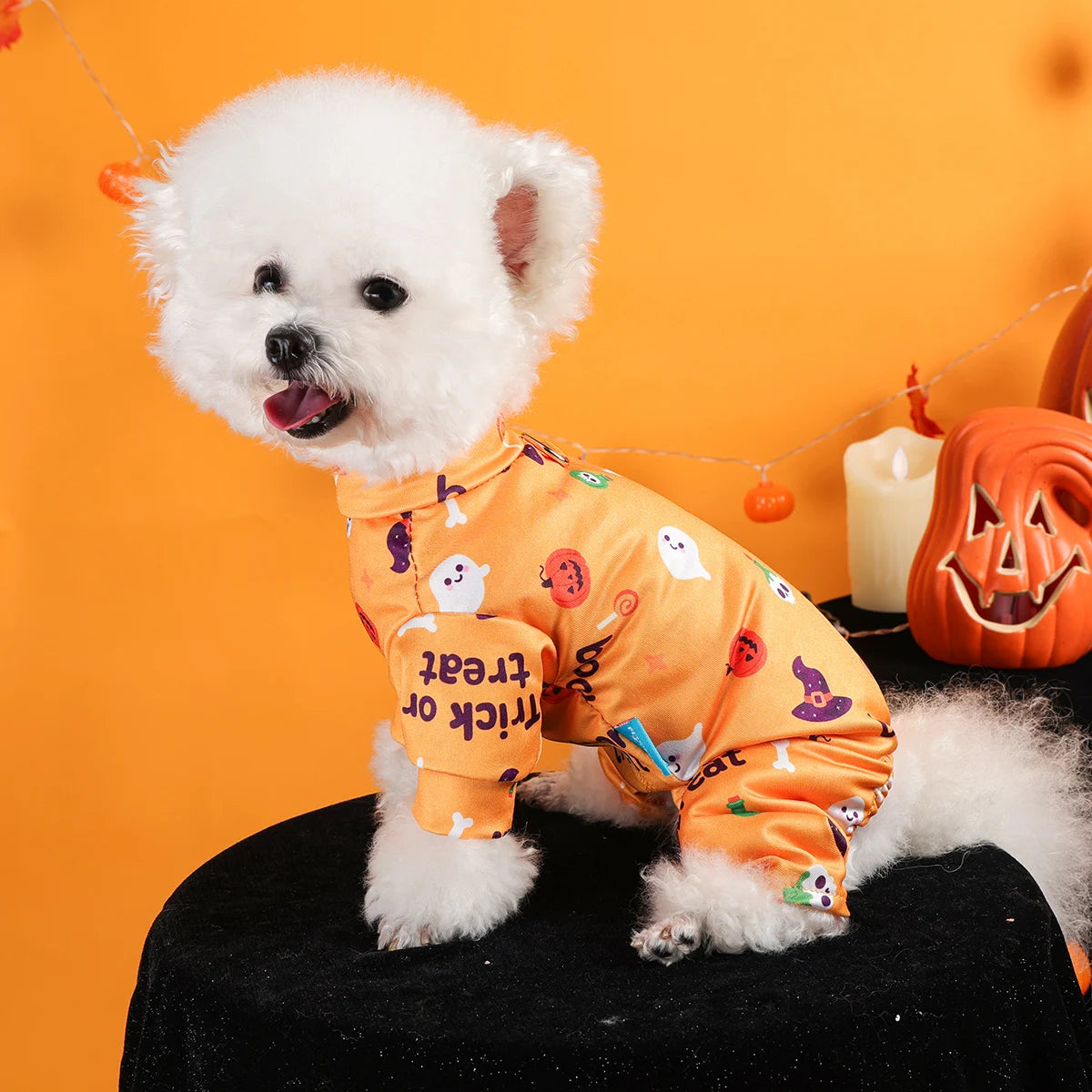 Dress your furry friend in style with these handsome, cute, and beautiful dog costumes for puppies—perfect for adding a touch of charm to their wardrobe! -
