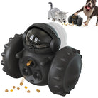 Interactive training toy for cats and dogs -