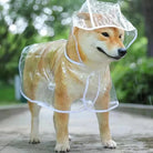 Keep your pet dry in style with this transparent rainwear raincoat for dogs—perfect for providing protection and keeping your furry friend dry during rainy days! -