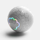 Smart Toy for cats and dogs -