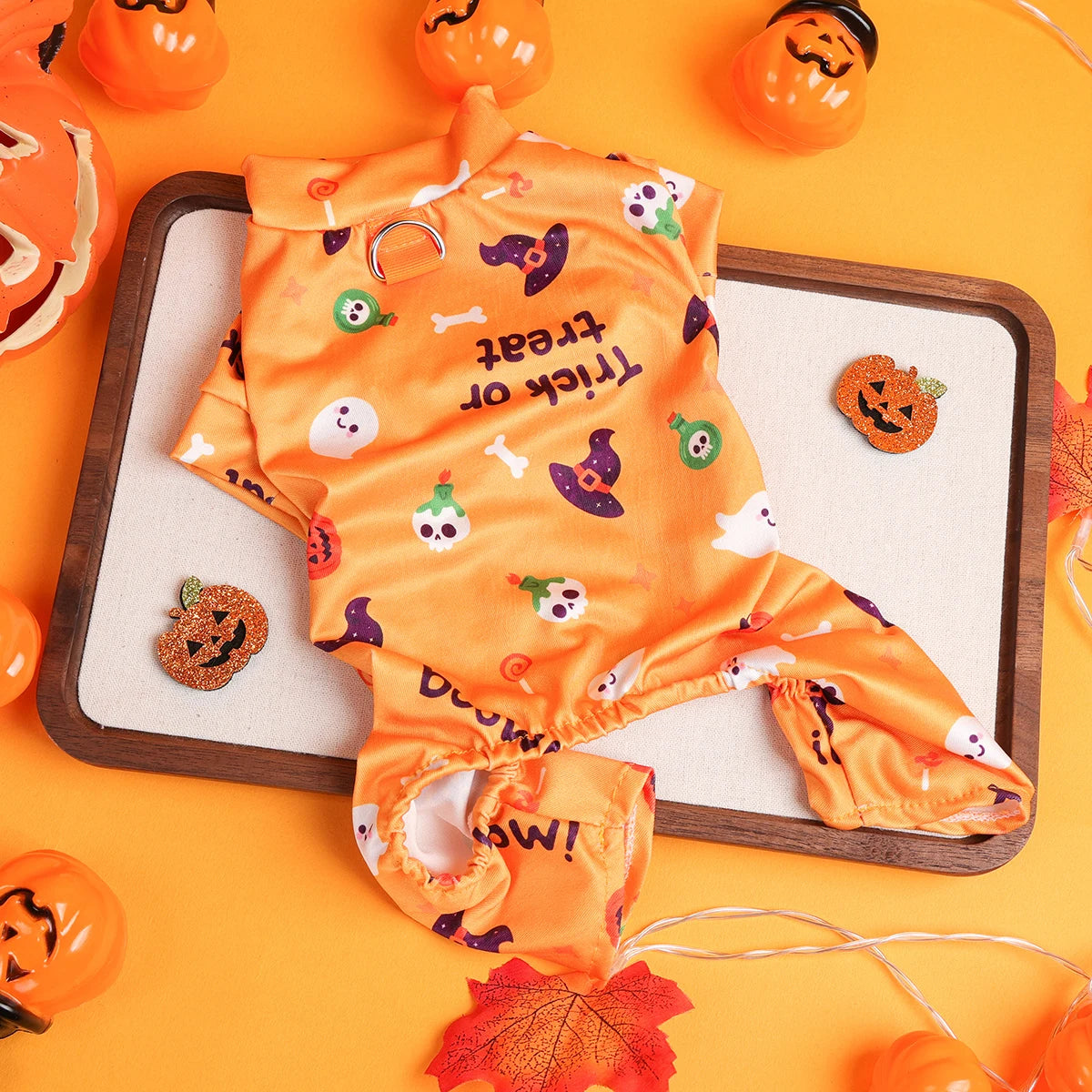 Dress your furry friend in style with these handsome, cute, and beautiful dog costumes for puppies—perfect for adding a touch of charm to their wardrobe! -