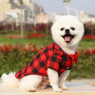 Dress your pet in a stylish plaid and striped shirt—perfect for adding a touch of sophistication to your furry friend's wardrobe! -