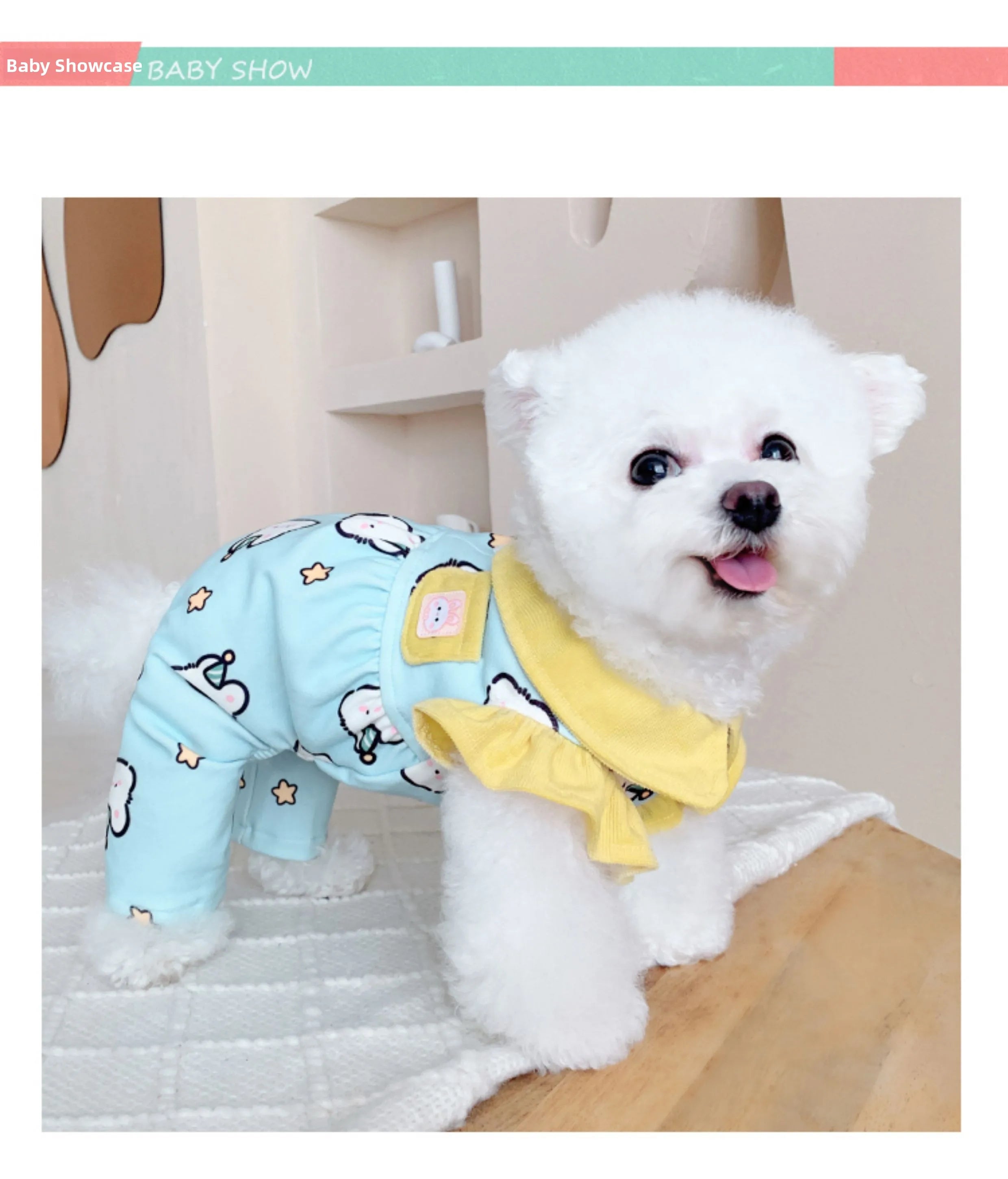 Keep your dogs comfortable at home with these cozy pet clothes—ideal for lounging and relaxing in style! -
