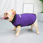 Pet Dog Clothes Winter Warm Padded Dog Clothes Waterproof Pet Coats Vest Jacket For Small Medium dogs Puppy Costumes -