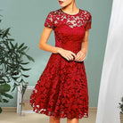 Make a chic statement with this elegant women's dress featuring an O-neck design, transparent lace, and hollow detail—a perfect choice for a sophisticated and stylish look. -