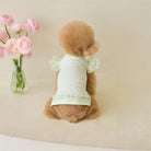 Dress up your furry friend in adorable style with this green lace ruffle shirt dress—perfect for small dogs and kittens to look cute and stylish during the summer season! -