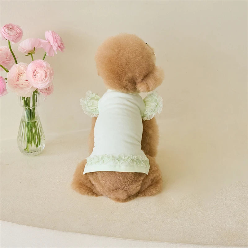 Dress up your furry friend in adorable style with this green lace ruffle shirt dress—perfect for small dogs and kittens to look cute and stylish during the summer season! -