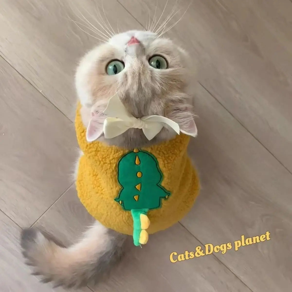 Keep your small and medium-sized dogs, as well as cats, stylish in these adorable pet clothes—perfect for adding flair to your furry friends' wardrobes! -