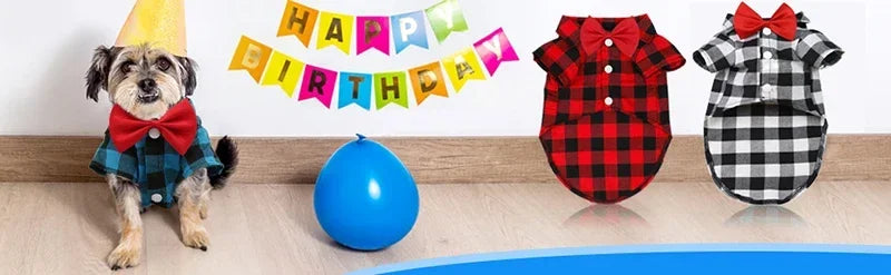 Dress your pet in a stylish plaid and striped shirt—perfect for adding a touch of sophistication to your furry friend's wardrobe! -