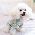 Dress your puppy in style with this cute and cozy vest T-shirt—perfect for keeping your furry friend comfortable and fashionable! -