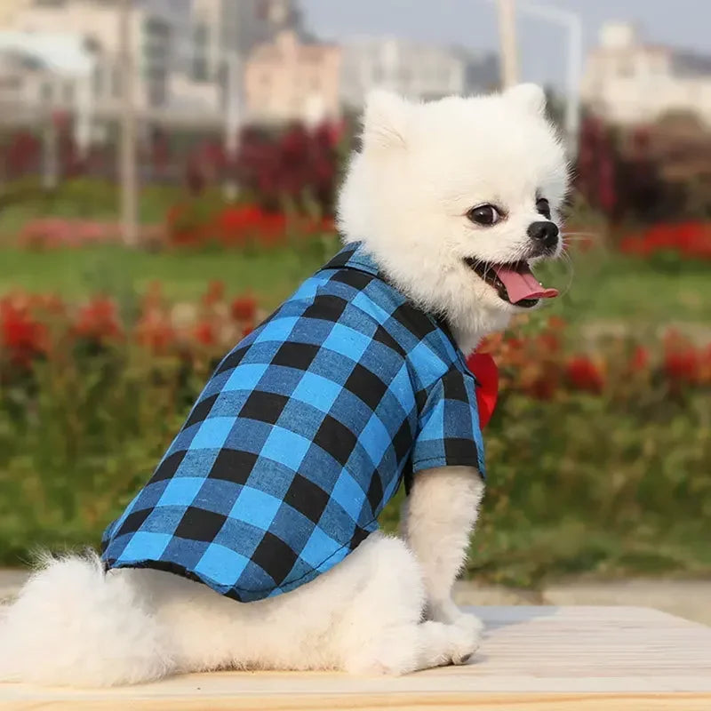 Dress your pet in a stylish plaid and striped shirt—perfect for adding a touch of sophistication to your furry friend's wardrobe! -