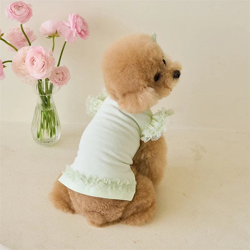 Dress up your furry friend in adorable style with this green lace ruffle shirt dress—perfect for small dogs and kittens to look cute and stylish during the summer season! -