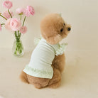 Dress up your furry friend in adorable style with this green lace ruffle shirt dress—perfect for small dogs and kittens to look cute and stylish during the summer season! -