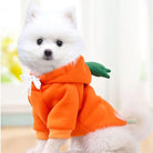 Keep your pets cozy and stylish with these fleece clothes—designed for small and medium-sized dogs and cats to stay warm and fashionable in the autumn and winter seasons! -
