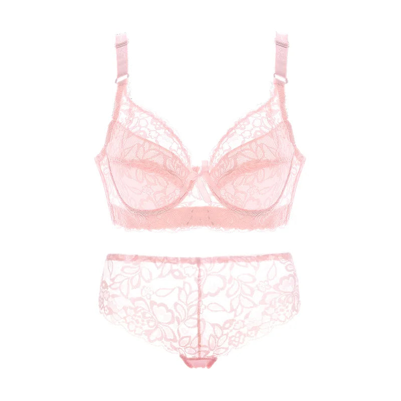 Lace Panty and Briefs -