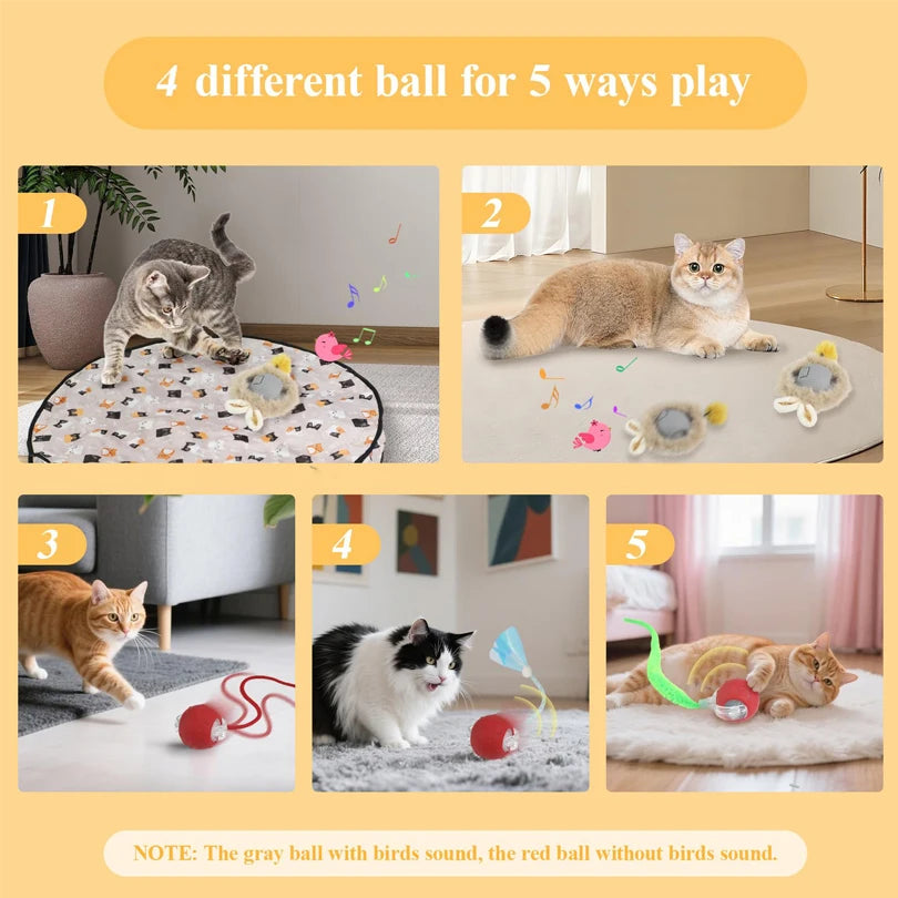 Motion Activated Interactive Cat Toy for Indoor -