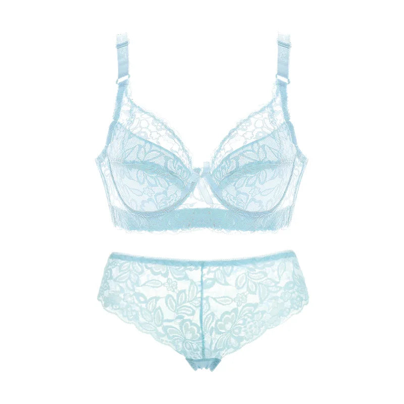 Lace Panty and Briefs -