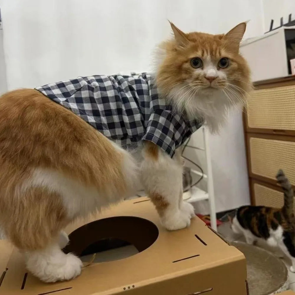 Keep your pets looking fashionable with this cute and elegant pet clothing—perfect for pet parties and special occasions, ensuring your furry friends are dressed to impress! -