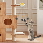 Interactive Cat Ball Electric Lifting Toy -