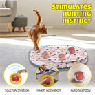 Motion Activated Interactive Cat Toy for Indoor -