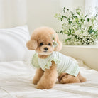 Dress up your furry friend in adorable style with this green lace ruffle shirt dress—perfect for small dogs and kittens to look cute and stylish during the summer season! -